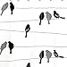 SKL Home by Saturday Knight Ltd. Birds on a Wire Shower Curtain Black