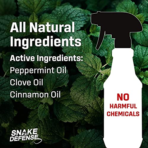 Exterminators Choice Snake Defense Spray NonToxic Repellent for