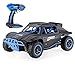 Blexy RC Cars 1/18 Scale 4WD High Speed Rock Crawler Vehicle 15.5MPH+ 2.4Ghz Radio Remote Control Off Road RTR Racing Monster Trucks Fast Electric Race Desert Power Buggy