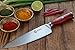 Chef Knife, High Carbon German Steel, Sharp Kitchen Knife, 8 Inch Professional Chef's Knife, Perfect Kitchen Gift for Cooking Lovers and Chefs.
