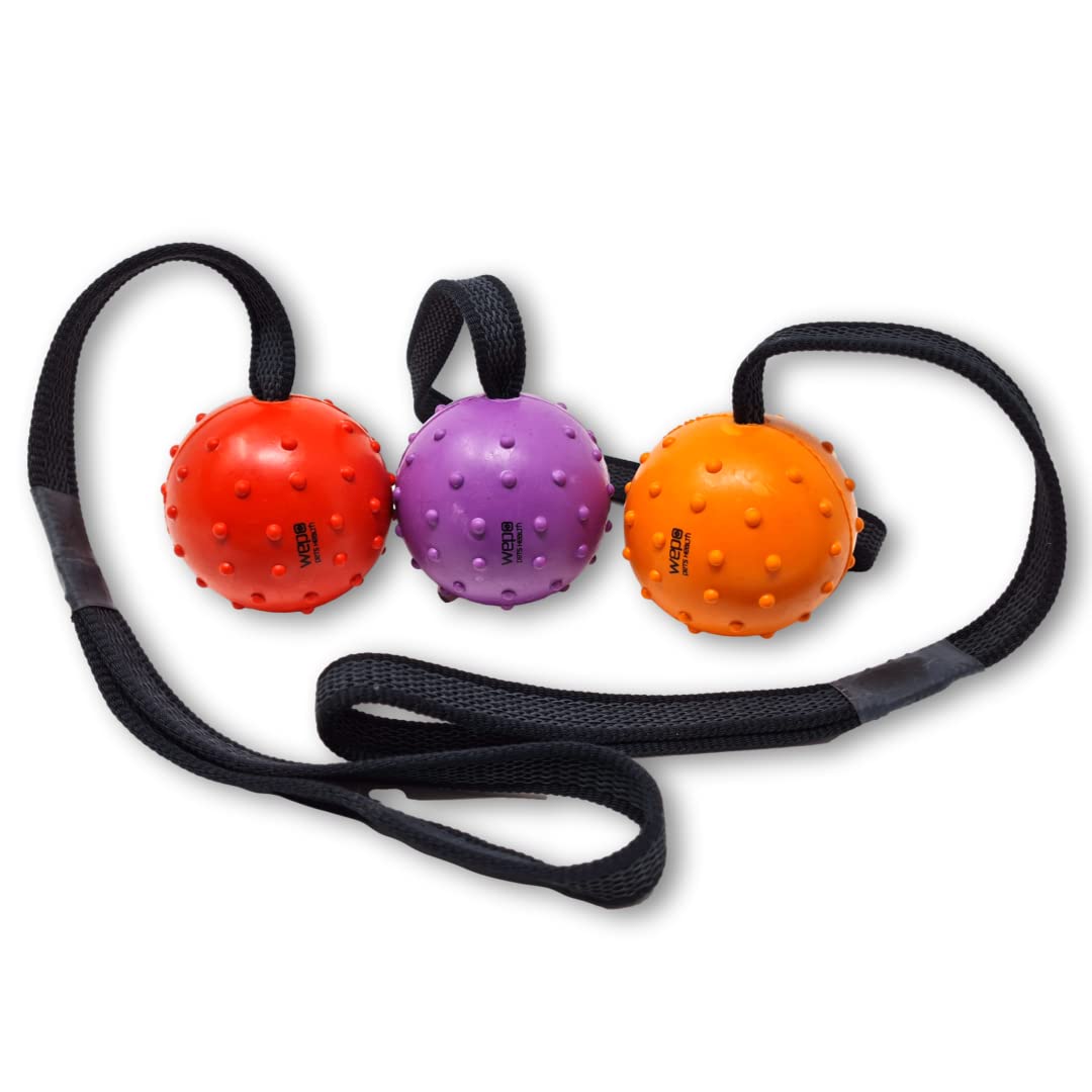 Wepo, dog toy, natural rubber ball with rope, lightweight spinner ball, ideal for puppy dog, toy on a rope, 7 cm