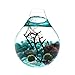 Fashion Table Aquarium - Live Moss Ball, Sea Fan, Amazonite Gravels, Seashell, Red Volcano Rock, Work Desk Decoration Indoor Decor