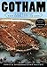 Gotham: A History of New York City to 1898 (The History of NYC Series)