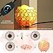 eecoo 736691298838 Himalayan Pink Crystal Sea Salt Rock Lamp 2x15W Bulbs, Base,Dimmable Controller,UL-Listed Cord, Round, Metal Bowl Mode