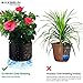MAXSISUN 6-Pack 20 Gallon Grow Bags, Heavy Duty Thickened Non-Woven Plant Fabric Pots with Reinforced Handles for Gardeningthumb 4