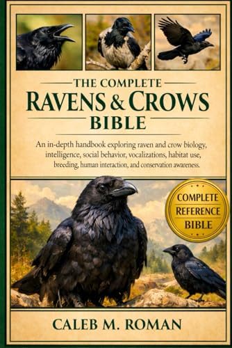 Crows and Ravens: Mystery, Myth, and Magic of Sacred Corvids: de