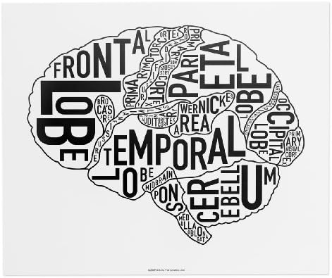 Brain Typographic Anatomy Diagram Art Poster, Black & White, 12.5" x 15"