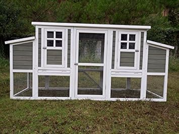 Poulailler Poulailler N 09 Collosus Poulailler Xxl Nid Amazon