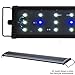 Beamswork EA Timer 6500K 0.50W LED Aquarium Light Freshwater Plant (80cm - 30