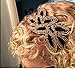 Flapper Headband 1920s Gatsby Leaf Beaded Women Hair Accessory for Costume Party (Black Gold)