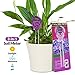 Soil pH Meter, 3-in-1 Soil Test Kit For Moisture, Light & pH, A Must Have For Home And Garden, Lawn, Farm, Plants, Herbs & Gardening Tools, Indoor/Outdoors Plant Care Soil Tester (No Battery Needed)thumb 2