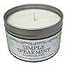 Our Own Candle Company Soy Wax Aromatherapy Scented Candle, Simply Spearmint, 6.5 Ounce