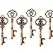Makhry Mixed 20 Extra Large Key Shape Bottle Openers Antique Copper Skeleton Keys - 2 Styles,20 Key Openers (Antique Copper)