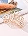 ACCGLORY Metal Claw Clip Vintage Hair Clamp for Hair Women Girls Hair Accessories Rose Gold Hair Jaw Clip 1 Count (Fan-Rose Gold)
