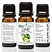 BioFinest Lime Oil - 100% Pure Lime Essential Oil - Protection Against Colds, Flu, Sore Throat - Premium Quality - Therapeutic Grade - Best For Aromatherapy - FREE E-Book (10ml)