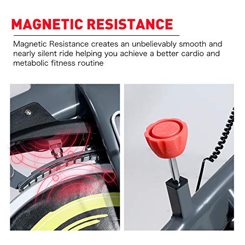 pasyou indoor cycling bike