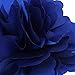 Tinksky 2-in-1 Beautiful Satin Peony Flower Style Women Girls Hair Clip Hairpin Brooch (Royal Blue)