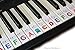 Keyboard or Piano Stickers 61 key set For Kids learn to play THE FUN WAY PSMW61