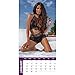 Hot List - 2017 Calendar 12 x 12in