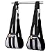 DMoose Ab Straps for Abdominal Muscle Building, Arm Support for Ab Workout, Hanging Ab Straps for Pull Up Bar Attachment, Ab Exercise Gym pullup Equipment for Men Women