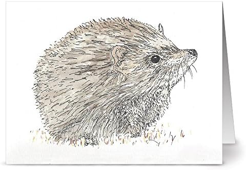 Note Card Cafe All Occasion Greeting Cards with Gray Envelopes Included | 24 Pack | Blank Inside, Glossy Finish | Forest Hedgehog Design | Set for Greeting Cards, Occasions, Birthdays