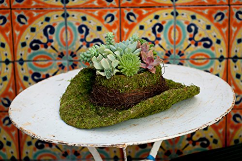 SuperMoss (55570) Moss Cowboy Hat Planter, Fresh Green, Large