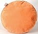 Huggable Pizza Cushion / pillow
