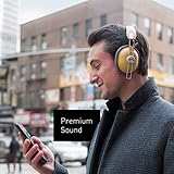 Panasonic RP-HTX80B-H