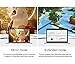 RatSmart 3-in-1 Mini DisplayPort to HDMI DVI VGA Adapter Mini DP Converter Thunderbolt to HDMI Cable [Supports Apple iMac and MacBook, Surface, Chromebook, Projector, PC etc]