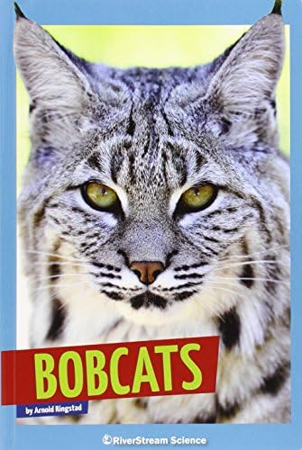 Bobcats (Wild Cats) Paperback – January 1, 2015