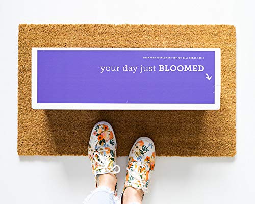 1 Flowers+Dozen+Long+Stemmed+Roses