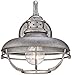 Franklin Iron Works Franklin Park Rustic Industrial Farmhouse Vintage Outdoor Barn Light Fixture Galvanized Steel Open Cage 9