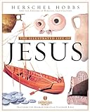 Illustrated Life of Jesus