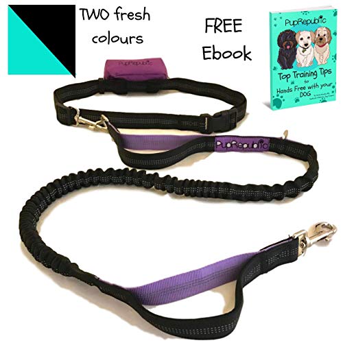 PupRepublic Hands Free Dog Lead Perfect Dog Running Lead Or When