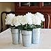 Rustic Metal Flower Vase - 8 Inches Tall - French Bucket - Farmhouse Style - Set of 2 - (Silver)