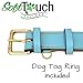 Soft Touch Collars Leather Padded Dog Collar, Size Large, Turquoise with Beige Padding, 24