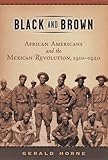 Black and Brown: African Americans and the Mexican Revolution, 1910-1920 (American History and Culture)