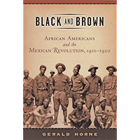 Black and Brown: African Americans and the Mexican Revolution, 1910-1920: African Americans and the Mexican Revolution… book cover