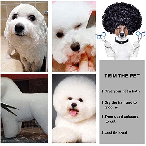 Купить Dog Scissors for Grooming Face and Paws, Cat and Dog Grooming