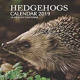 Hedgehogs Calendar 2019: 16 Month Calendar by Mason Landon