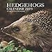 Hedgehogs Calendar 2019: 16 Month Calendar by Mason Landon
