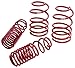 Eibach SPORTLINE Kit Springs Performance Kit4.9528 Set of 4 Compatible with Dodge Challenger SRT8 2009-2010