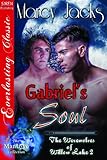 Gabriel's Soul [The Werewolves of Willow Lake 4] (Siren Publishing Everlasting Classic ManLove)