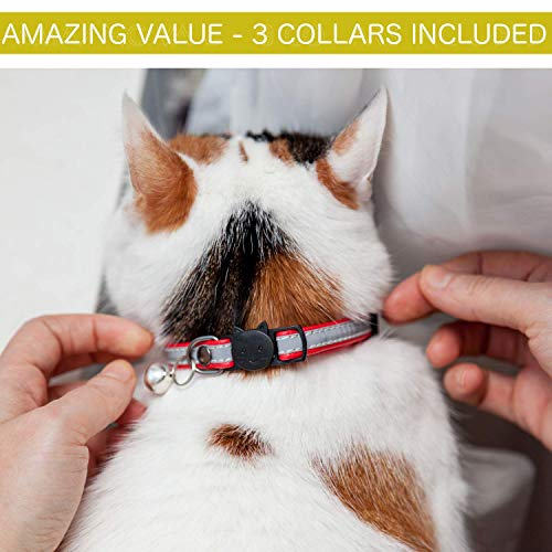 Leather Cat Collar Reflective, Set of 3, Plus Lucky Charm Pendant, Breakaway with Bell, Solid & Safe Collars for Cats, Nylon, Kitty Collars, Pet Collar, Free Replacement