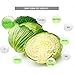 GNM Nature Class, Pure Cabbage pillet, Cabbage Powder 100%, Cabbage Good for Stomach, 120g