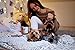 Persun Women Khaki Off Shoulder Chunky Long Sleeve Knitted Sweater Khaki Onesize