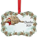 Russian Tortoise Christmas Ornament 2024