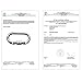 Super Strength Steel Screw Lock Protection Climbing Carabiner(25KN=5600 lb) Carabiner Clip For Climbing Hiking Yoga Hammock with CE/CSA/ILAC ISO17025 safety certification