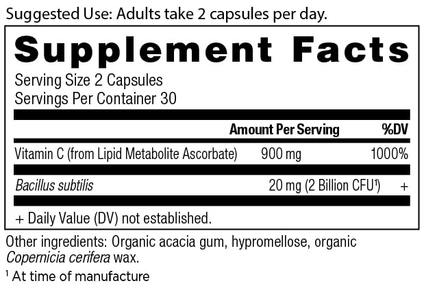 Ancient Nutrition Probiotics and Vitamin C Supplement, Supports Healthy Immune System and Gut Health, Made Without GMOs, Superfoods Supplement, Paleo and Keto Friendly, 30 Servings