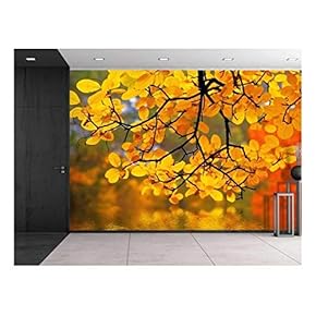 Yellow Branch Trees Framing a Lake - Wall Mural, Removable Sticker, Home Decor - 66x96 inches